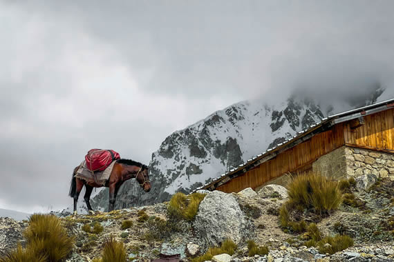climbing-ranrapalca Climb in the Cordillera Blanca Huaraz Peru